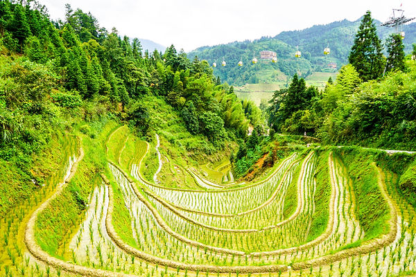 Image by Man Chung