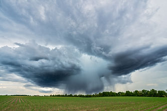 clouds'