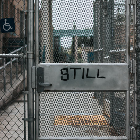 What Matters Most: Capitalism or Human Connection?