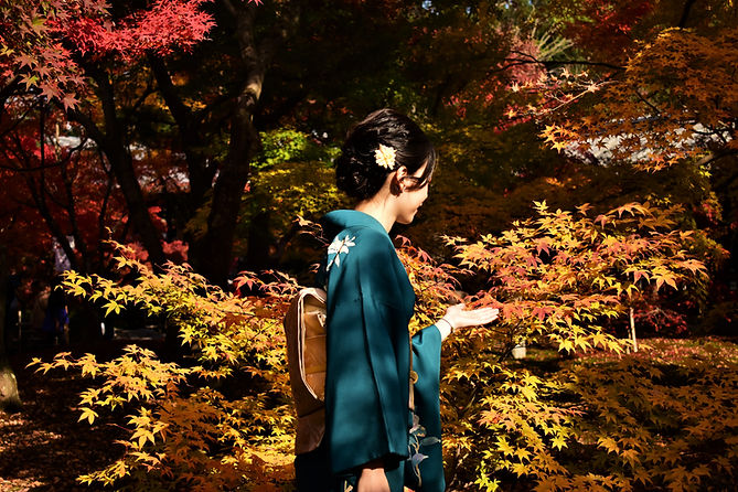 Image by Luke Ow