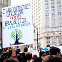 Image by Katie Rodriguez