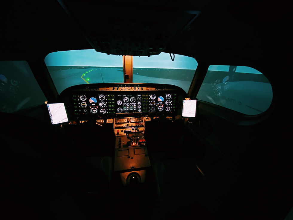 Flight Simulation Experiences