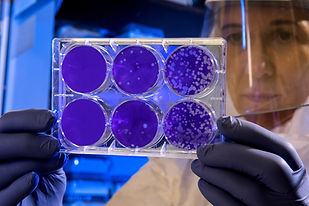 Image by CDC