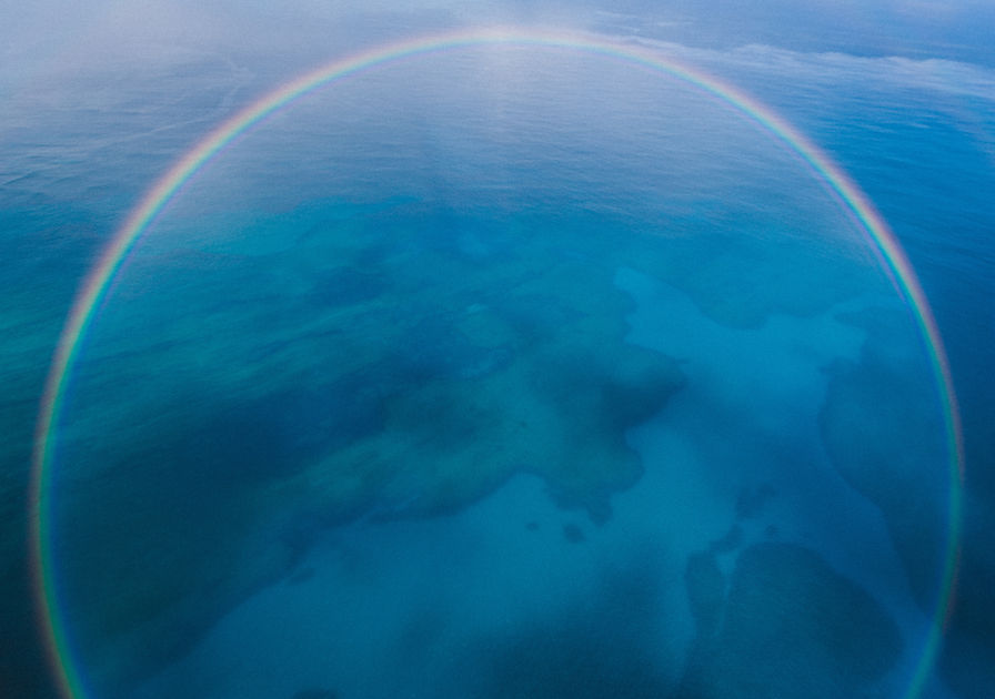 Image by Jakob Owens