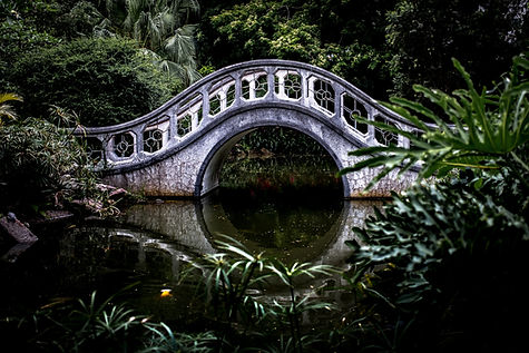 Image by Wai Siew