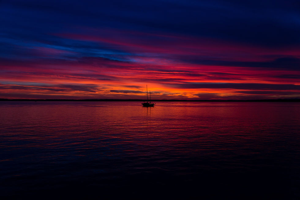 Image by Patrick Fore