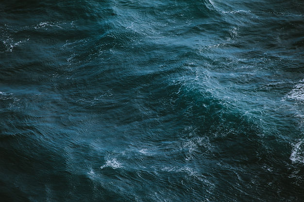 Image by Ivana Cajina