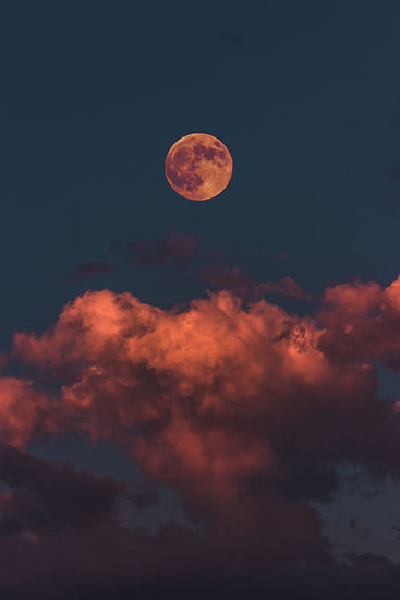 Image by Altınay Dinç