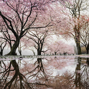 5 Ways To Enjoy Nature This Spring