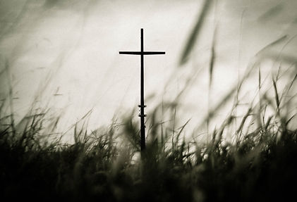 Image by Allef Vinicius
