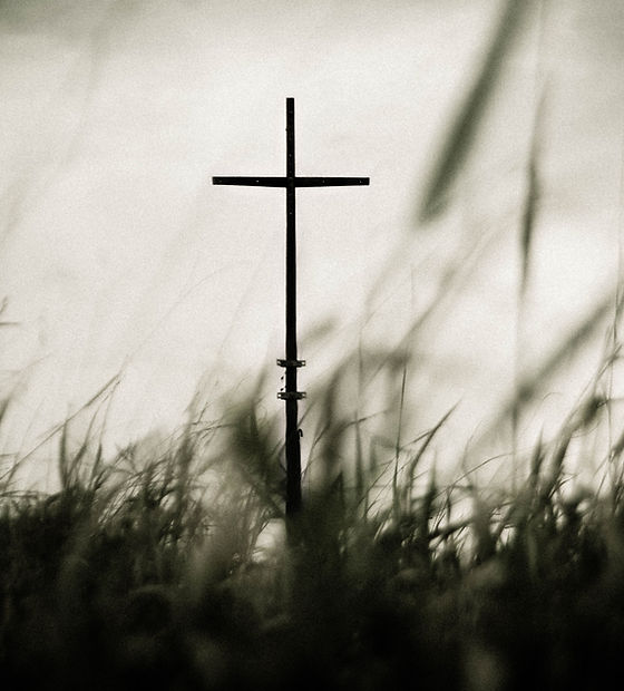 Image by Allef Vinicius