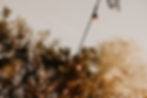 Image by Quilia