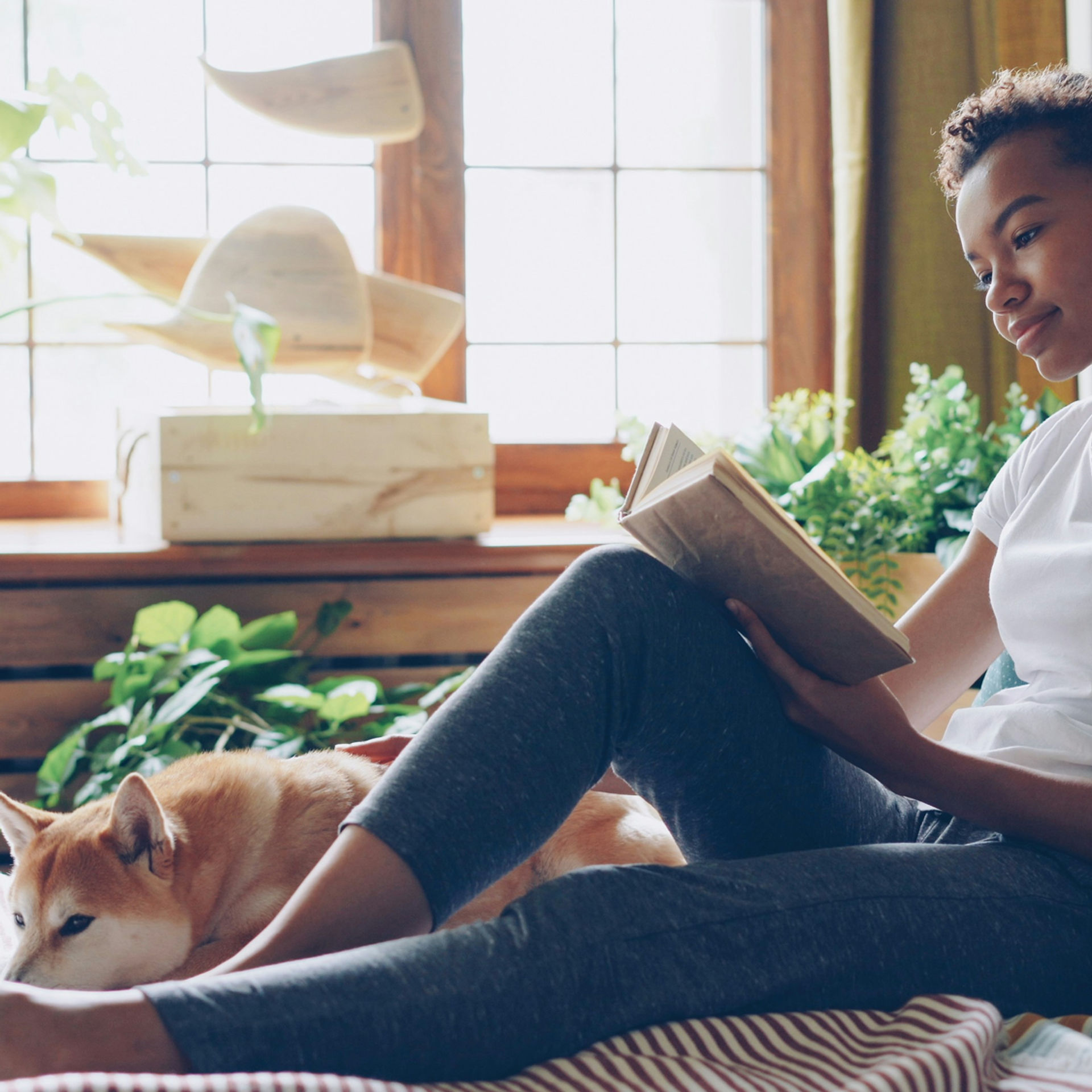Young woman reads a book on a sunlit bed while a tan dog naps beside her, with houseplants and window light.