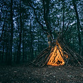 Image by Thomas Despeyroux