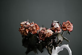 Image by Annie Spratt