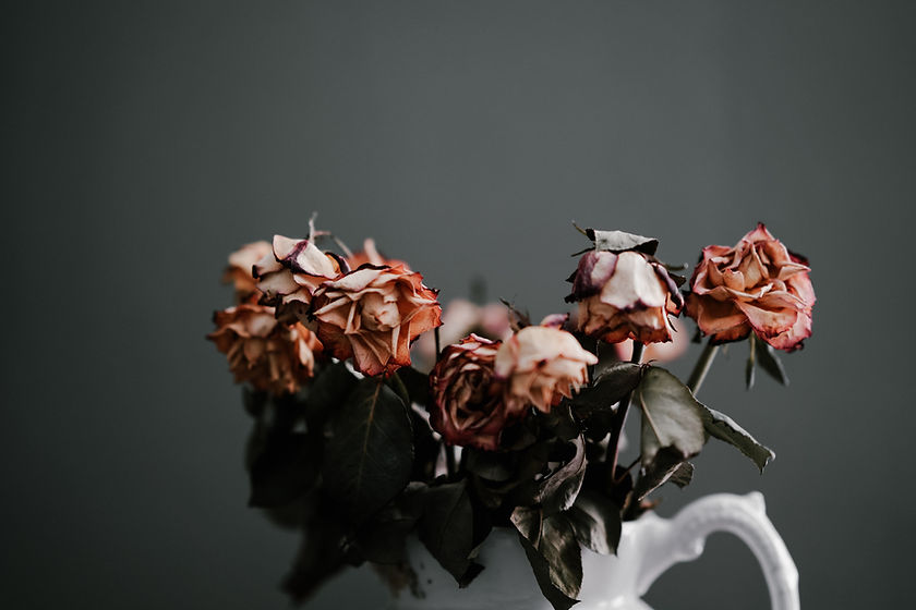 Image by Annie Spratt