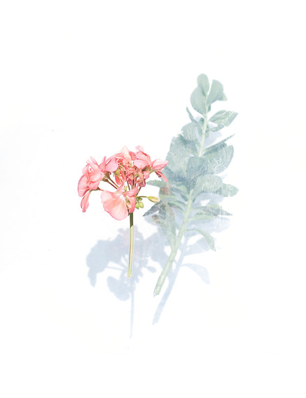 Image by Evie S.