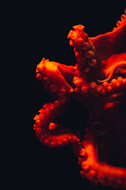 Image by Masaaki Komori