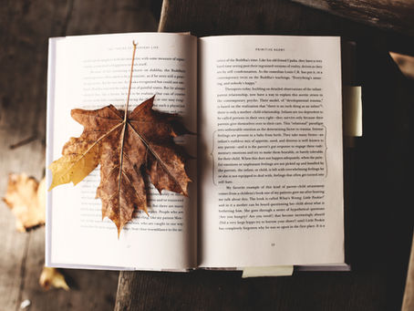A Fall Wellness Reset You Can Follow with Ease