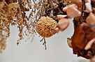 Image by Kew Li Wen