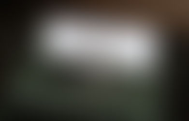 Content Development & Newsroom Management