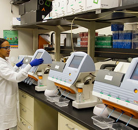 Image by National Cancer Institute