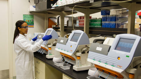An analysis of the medical supply industries