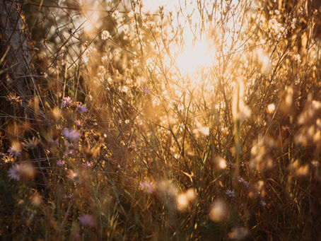 Walking the Path of Acceptance and Grace
