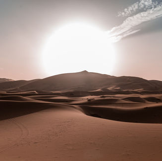 Scientist state that human behavior is the root cause of climate environmental problems