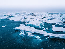 Image by Willian Justen de Vasconcellos