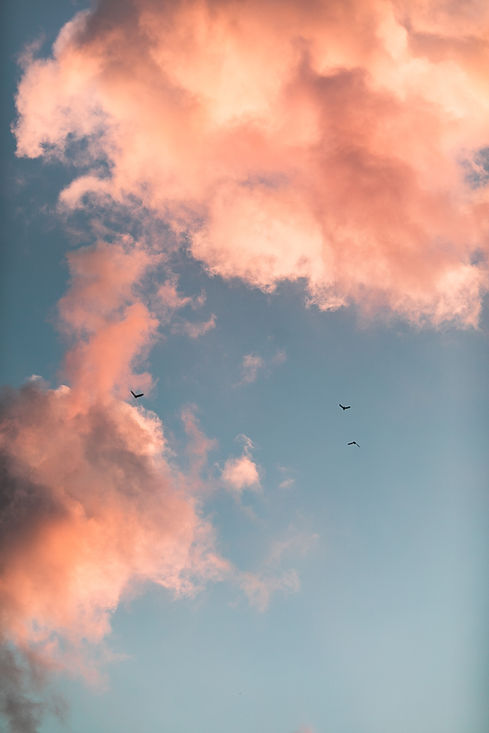 Image by Kenrick Mills