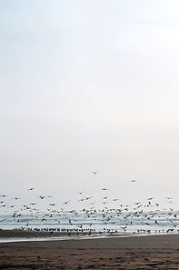 Image by Benjamin Nguyen