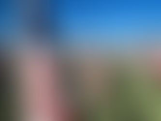 American flags waving in a field under a clear blue sky, creating a patriotic and solemn mood. Flags are aligned in rows on green grass.