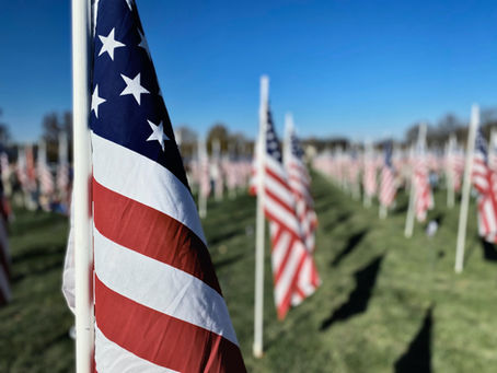 American flags waving in a field under a clear blue sky, creating a patriotic and solemn mood. Flags are aligned in rows on green grass.