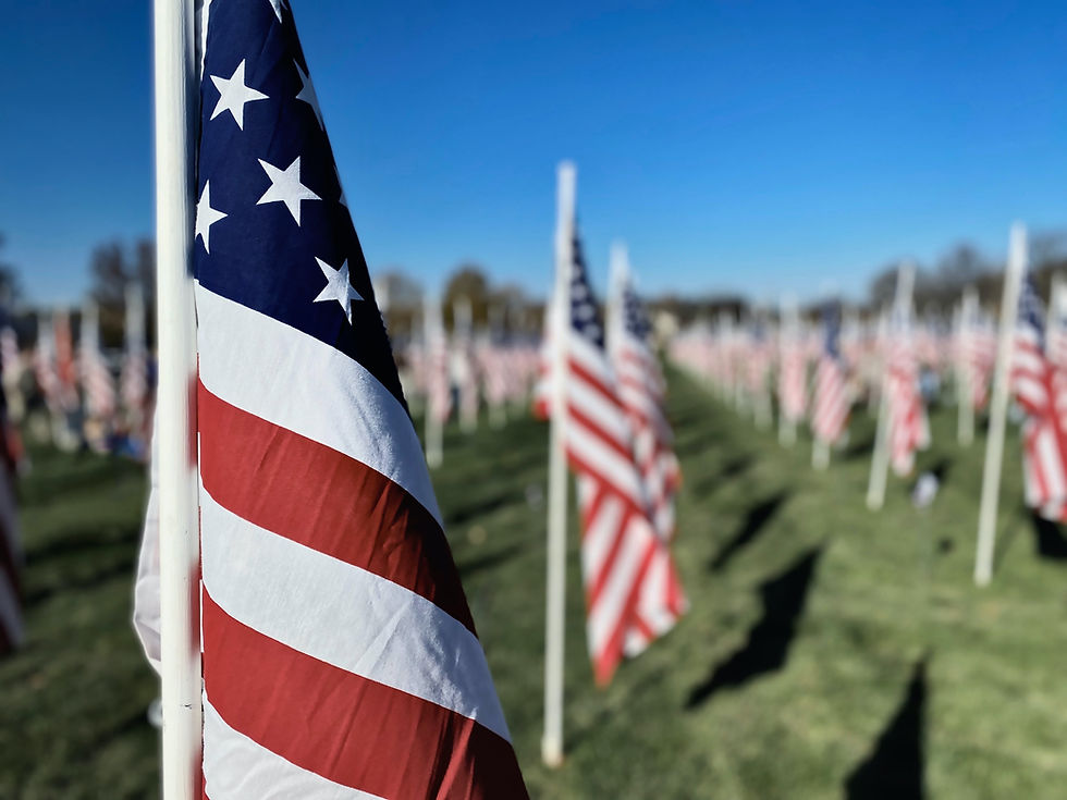 American flags waving in a field under a clear blue sky, creating a patriotic and solemn mood. Flags are aligned in rows on green grass.