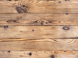 HOLZ