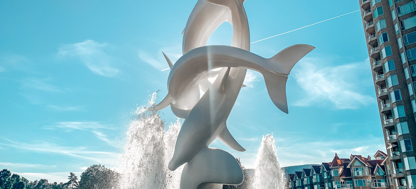 Sona Wellness Infrared Sauna Cold Plunge Tank Lymphatic Drainage