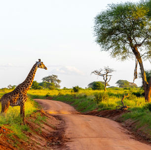 Why Africa Is the Next Frontier in Ethical Luxury