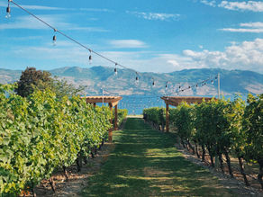 Can you Stay on a Farm in Italy?
