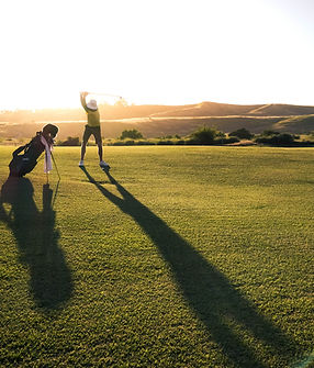 Image by Matt Aylward