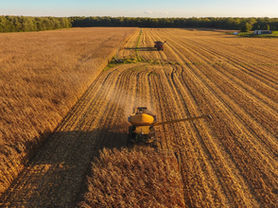 Stablecoins avançam no agronegócio e otimizam pagamentos internacionais