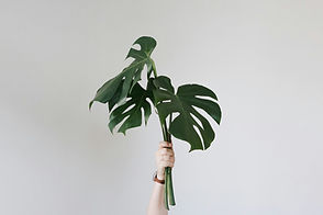 Image by Anastasia Judt