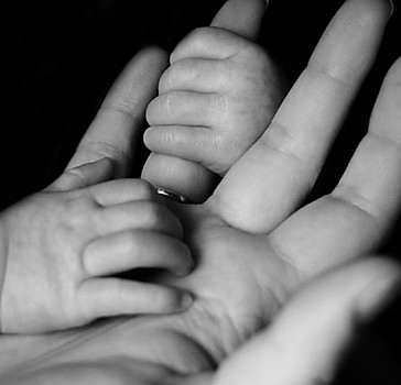 photo of a baby holding their parents hand