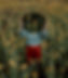 Espelho refletindo um campo de flores by Noah Buscher