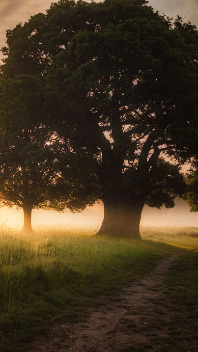 Como a respiração consciente pode mudar o seu dia e a sua vida