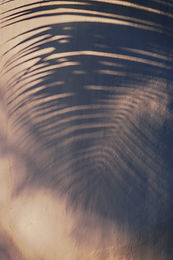 Image by Tim Mossholder