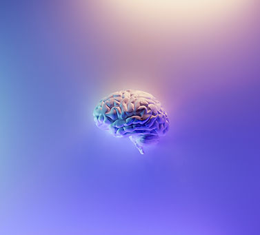 Maple Ridge Neurofeedback