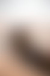 Earth the Board of Life