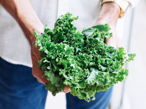 Green Goodness: The Health Benefits and Versatility of Kale in a Plant-Based Lifestyle