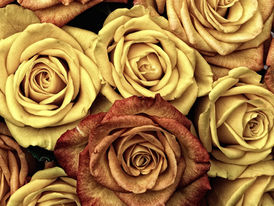 How to Name: Explore Concepts, not Words